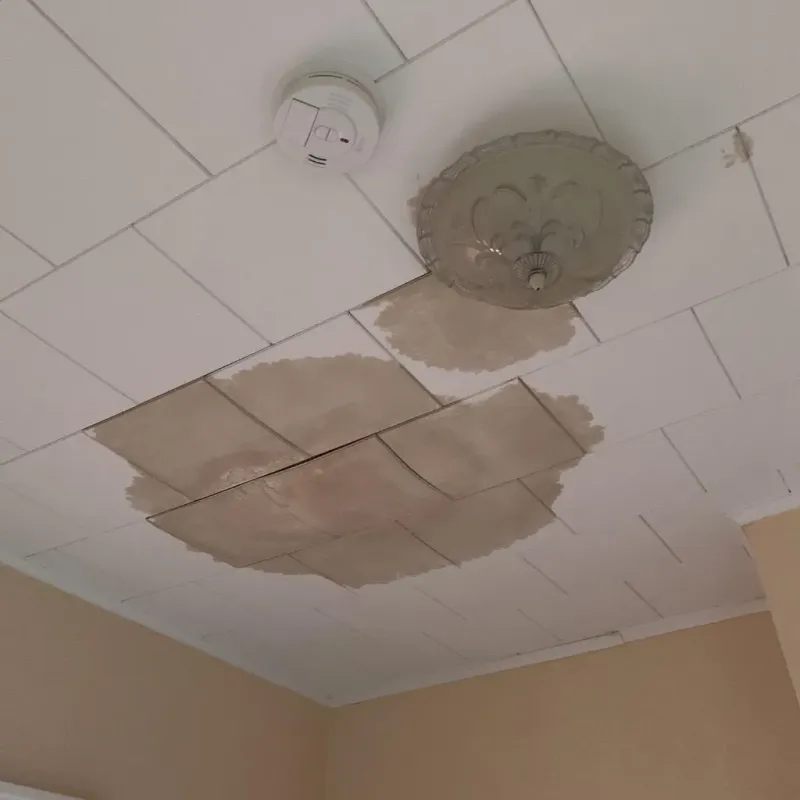 Ceiling Water Damage Repair in San Patricio County, TX